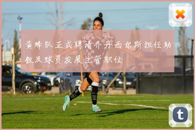 黄蜂队正式聘请乔丹西尔斯担任助教及球员发展主管职位